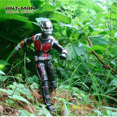 Marvel Select : Ant-man